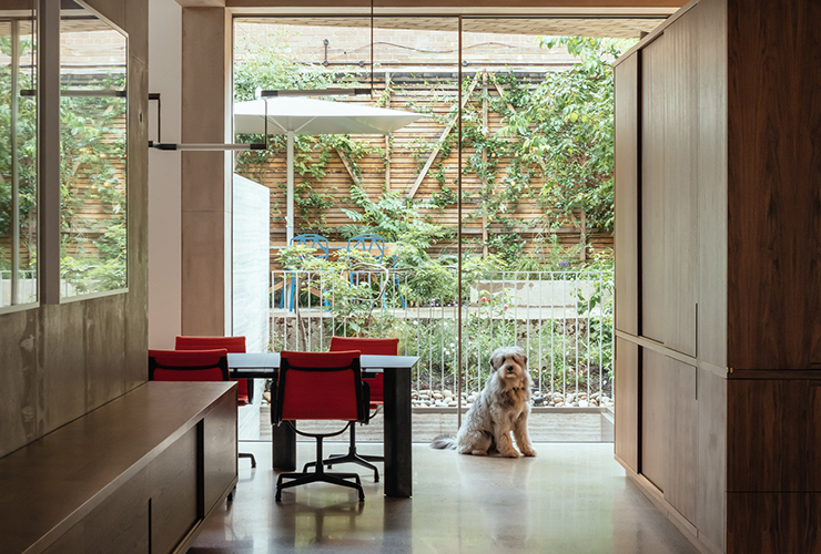 dog in dining room